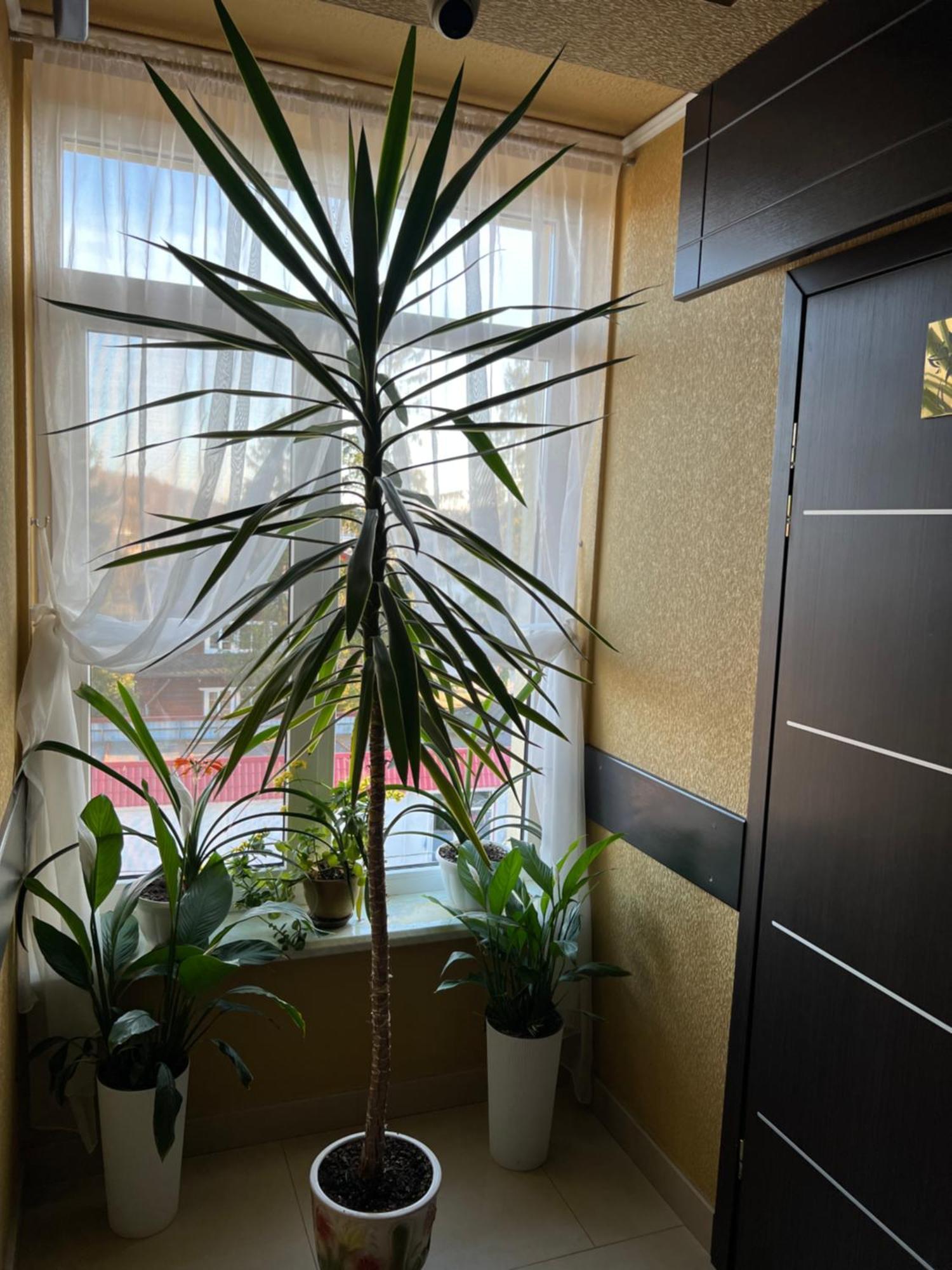 Готель Парк Morshyn Exterior photo